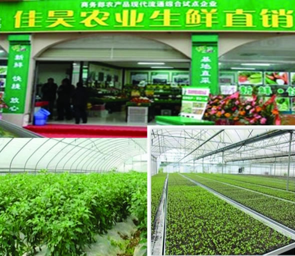 佳昊現(xiàn)代農(nóng)業(yè)種植及銷售