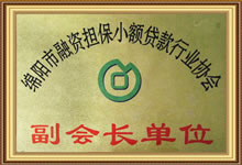 副會(huì)長(zhǎng)單位