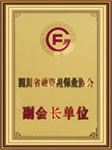 副會(huì)長(zhǎng)單位