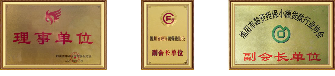 四川坤泰融資擔(dān)保有限公司企業(yè)榮譽(yù)