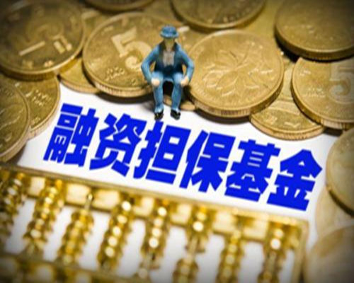 國家融資擔?；穑簢谊牭南乱徊?></a></div>
        <h4 class=
