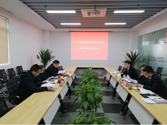 四川坤泰融資擔(dān)保有限公司召開董事會(huì)及年度總結(jié)會(huì)